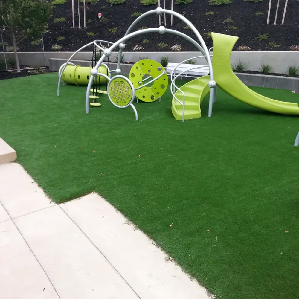 Schools artificial turf in Houston