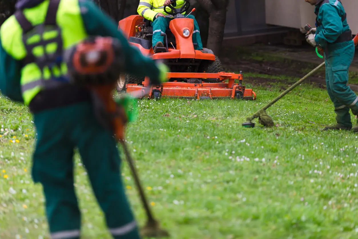 Turf Cleaning & Maintenance